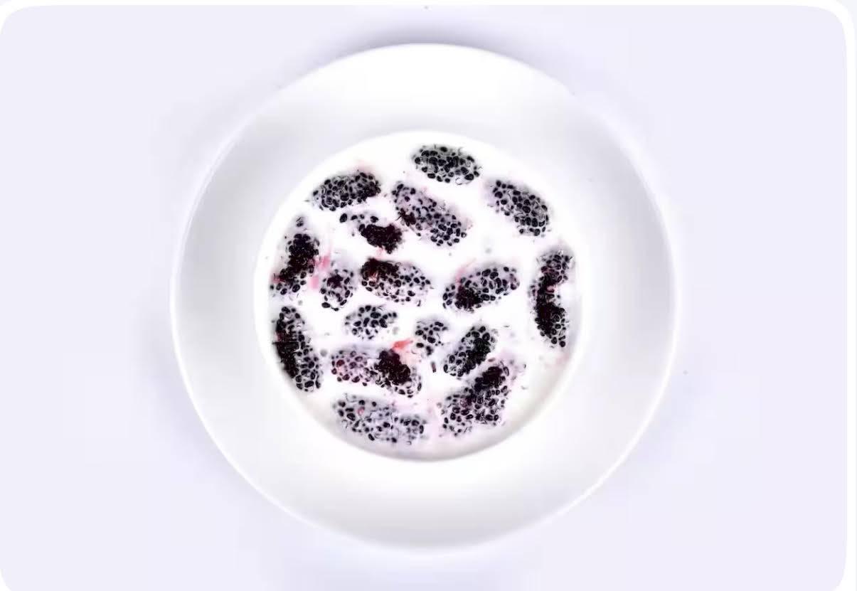 MY KITCHEN -  FRUIT CREAM - MULBERRY